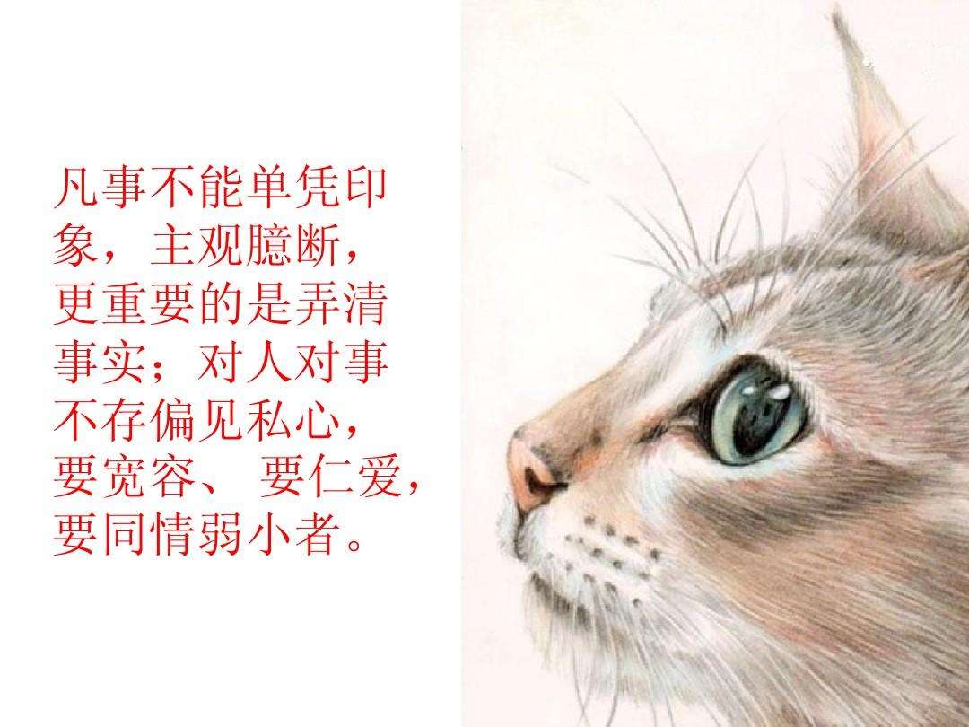 《猫》一课之教学反思