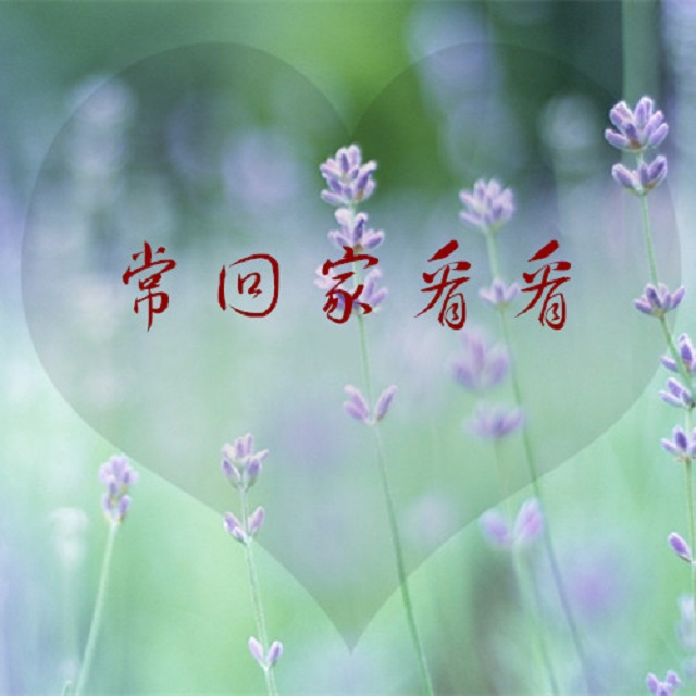 此生三愿：家人平安，岁月静好，不忘初心