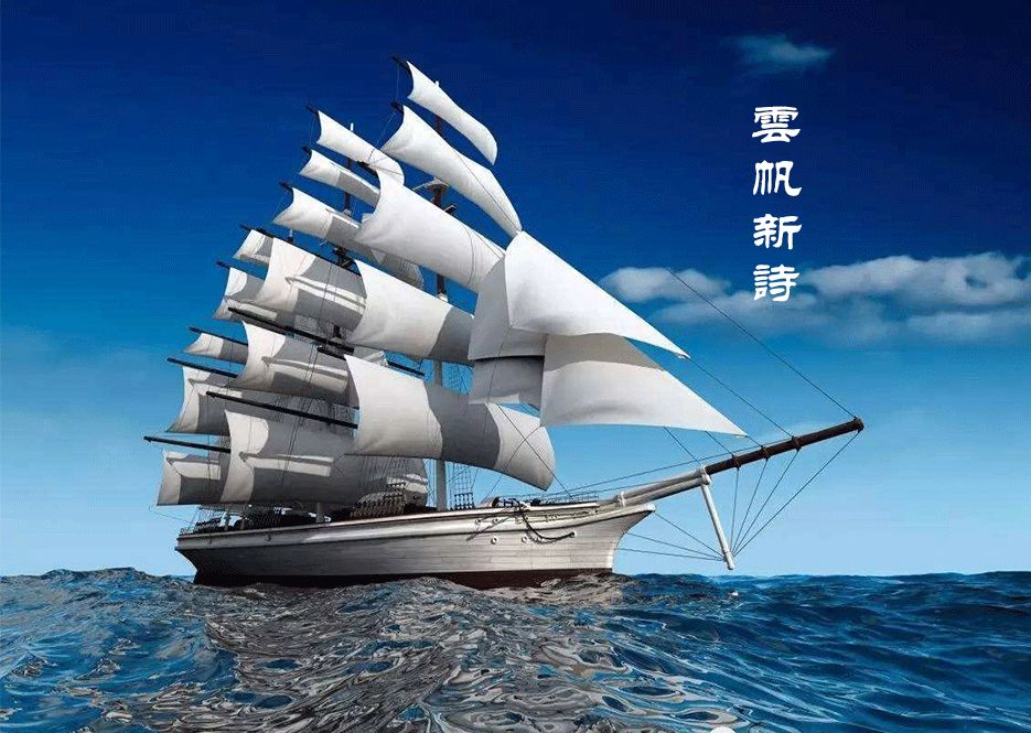 才媛新风尚：解密当代都市丽人魅力密码