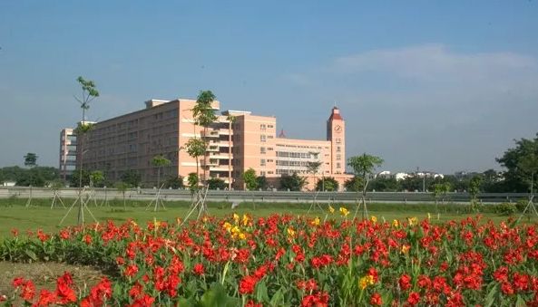 厉害！首批艺术学校公布，广州有14所！快来为母校打CALL！