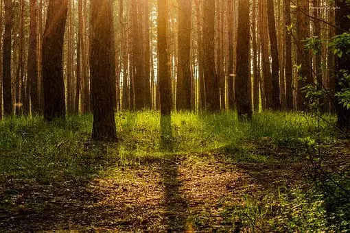 普通人逆袭的秘密，原来你的方向一直是错的