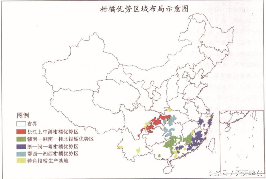 柑桔果农应该懂得的选址和选品种那些事