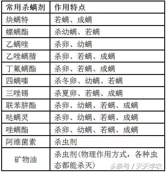 柑桔果农应该懂得的选址和选品种那些事