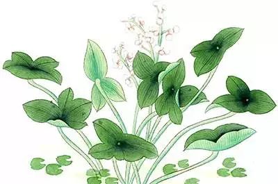 厉害！首批艺术学校公布，广州有14所！快来为母校打CALL！