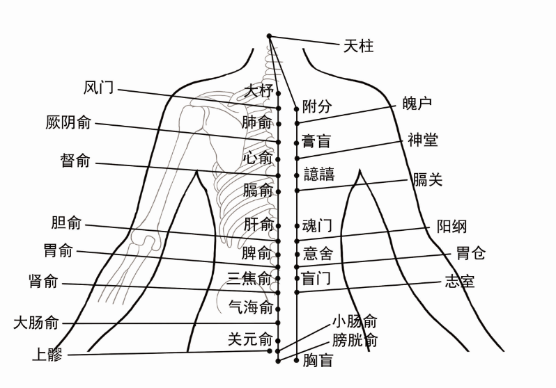 腿麻艾灸哪个位置(肾精亏虚腰疼难免，老大夫给了个艾灸方，看完存一份！)