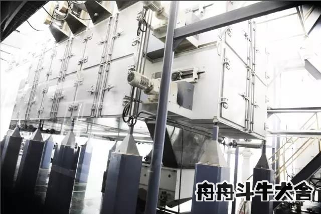 饮食篇3——法国斗牛犬吃什么狗粮适合之国产比乐狗粮推荐