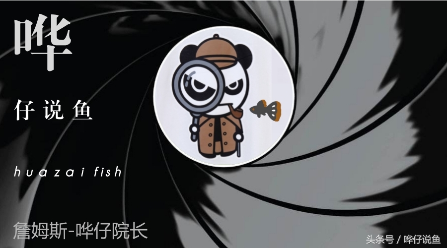 有些鱼缸不要买！观赏鱼新手100问第二辑