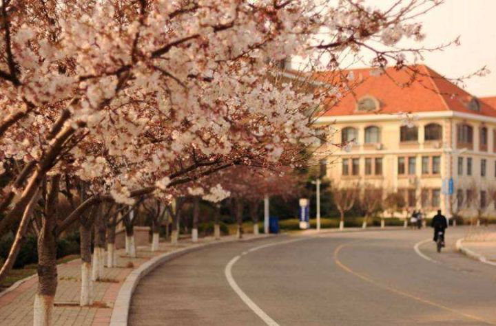 热门考研院校概览——中国海洋大学