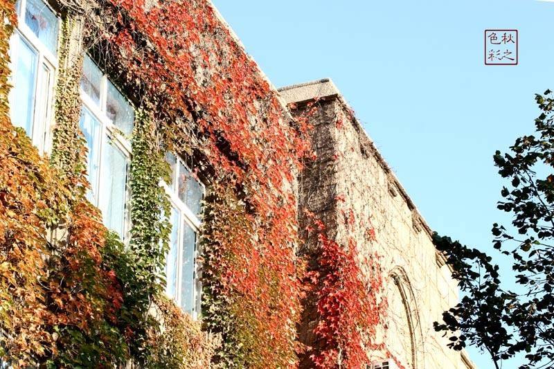 热门考研院校概览——中国海洋大学