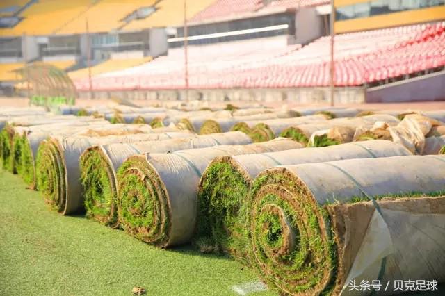 如皋足球草坪养护(中乙俱乐部更换“引援”，只为走向职业化)