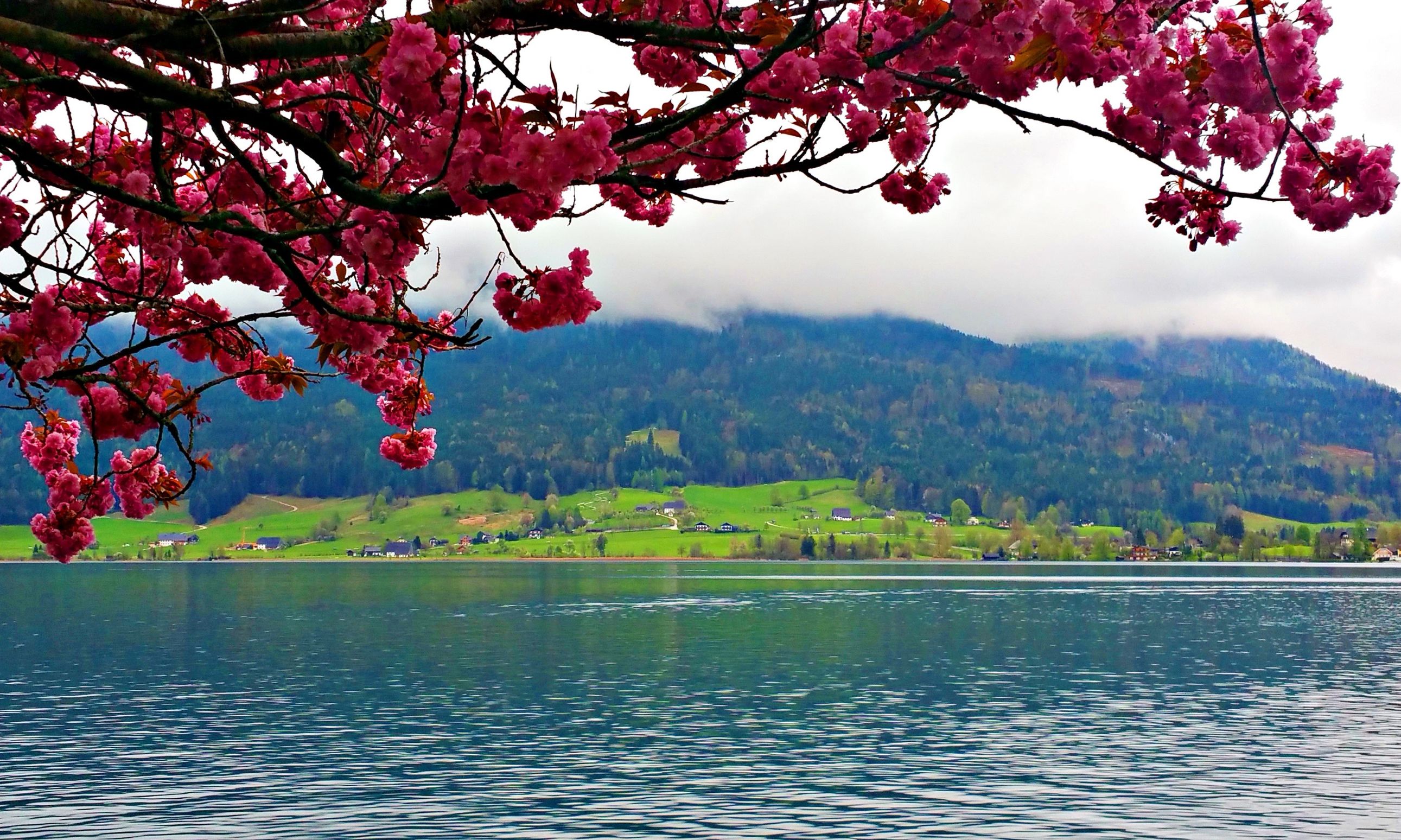 回想经典老电影,探访纯美奥地利,赏田园风光品异域风情