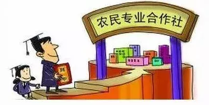 农业合作社经营范围,农业合作社经营范围大全