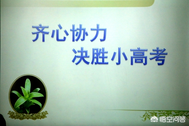 小高考即将来临，说说江苏小高考那些事