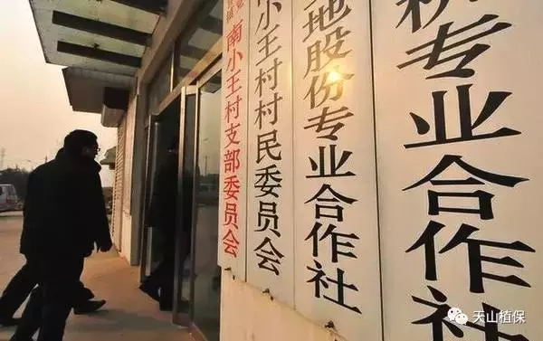 农业合作社经营范围,农业合作社经营范围大全