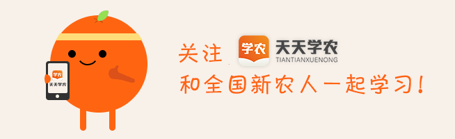 柑橘黄化病防治方法与治疗措施