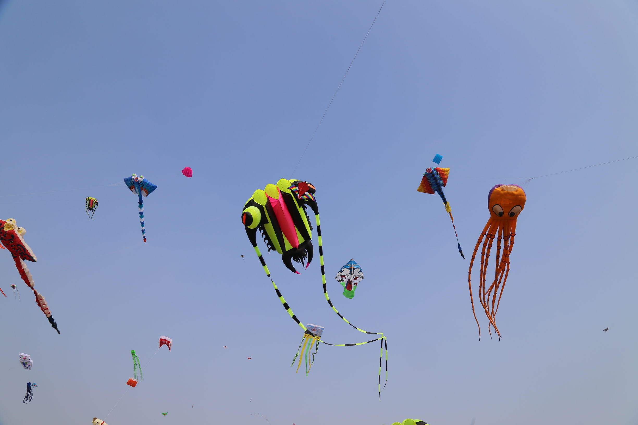 (二),现代风筝,中国风筝约在十二世纪传入欧洲,一经传入便引发了科学