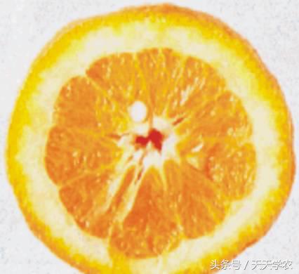 柑橘“黄化”可能不是病，只是跟你讨“债”来了！