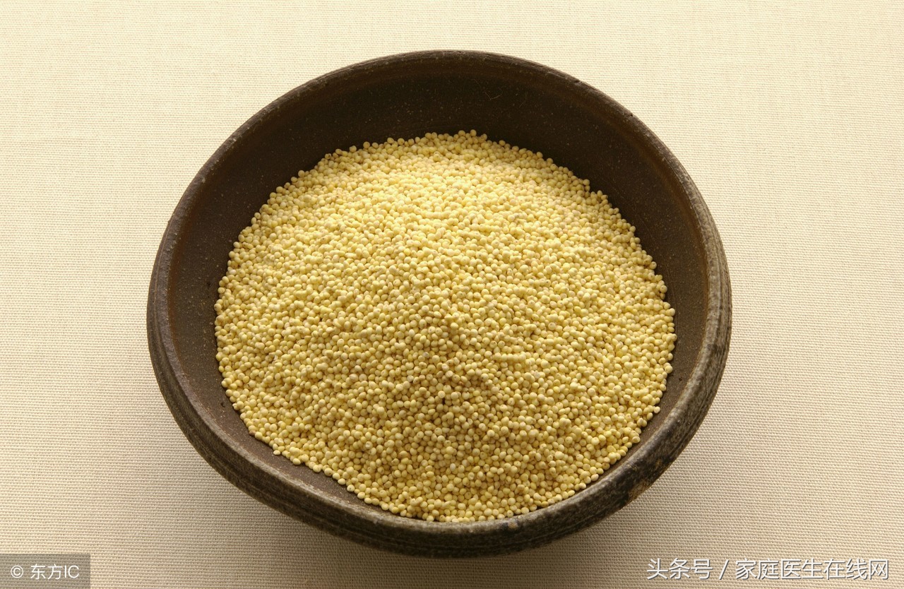 粮食小米的功效和作用（一文了解小米的营养价值）