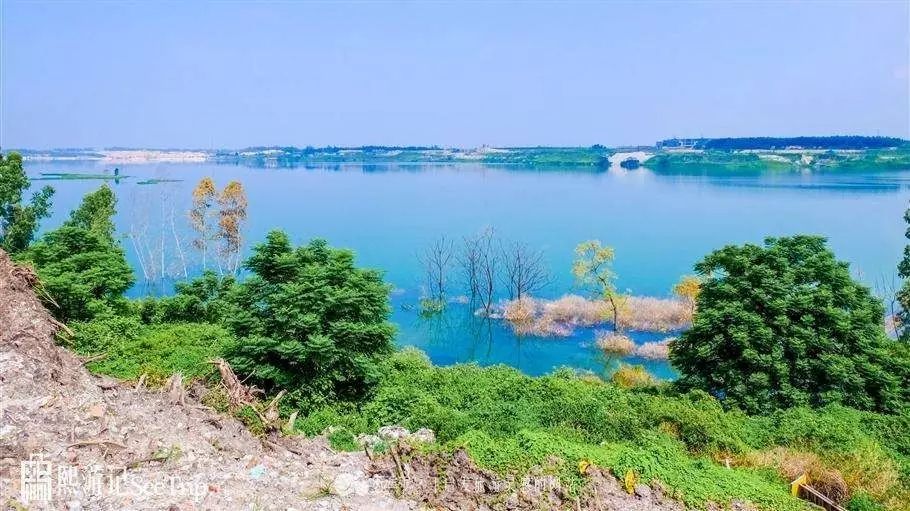 晨光微露，公园静谧如画，绿树成荫鸟语盈耳，湖面波光粼粼倒映着天边霞彩。