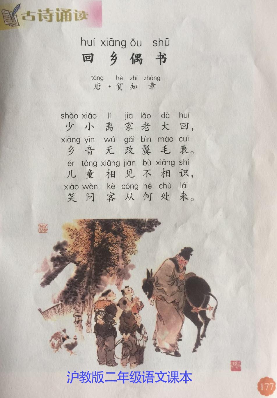 乡音无改鬓毛衰读cui还是shuai乡音无改鬓毛衰是什么意思