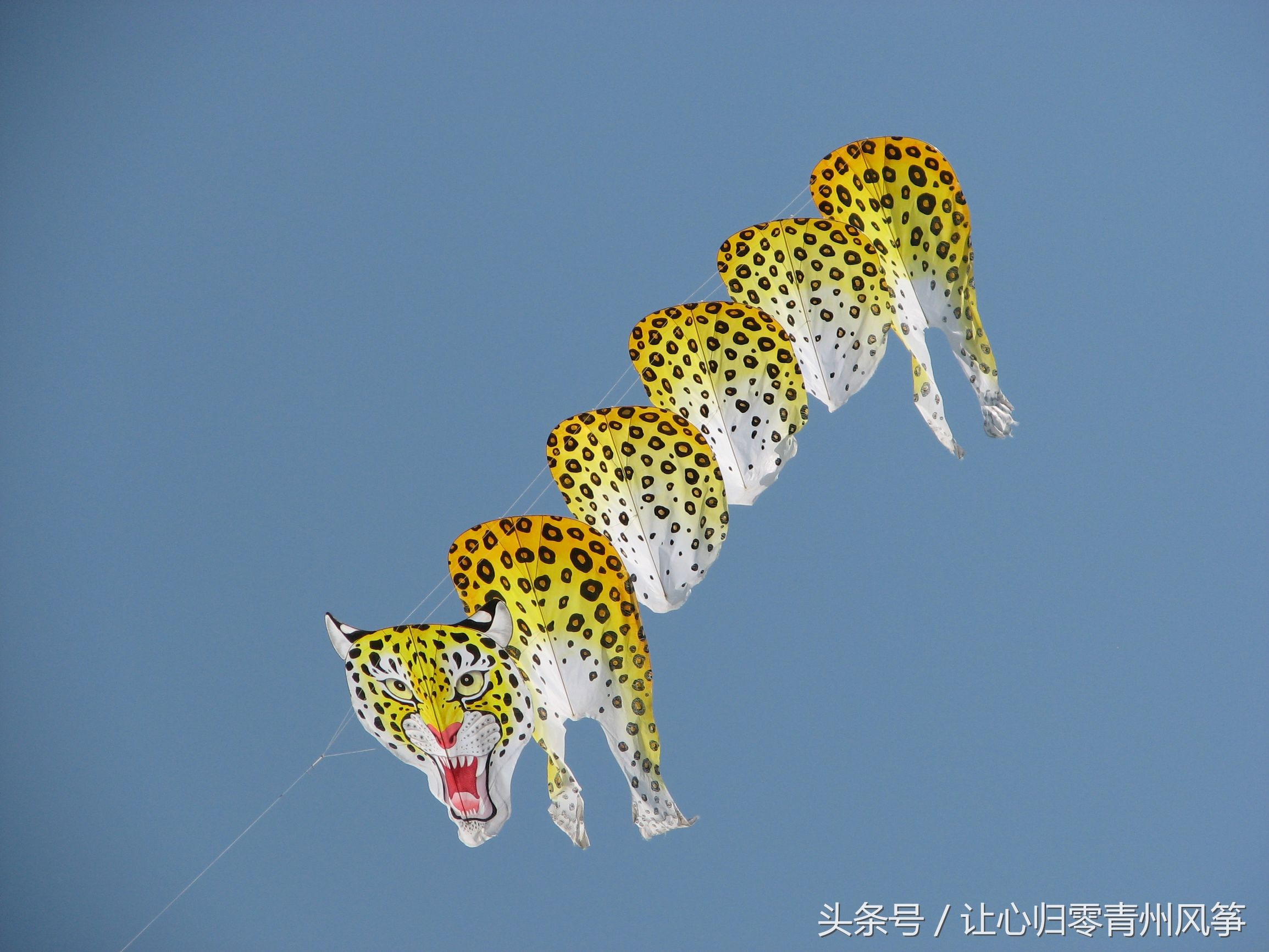 (2),在风力适足的时候,放风筝可以不必请人帮忙,自己拿风筝的提线