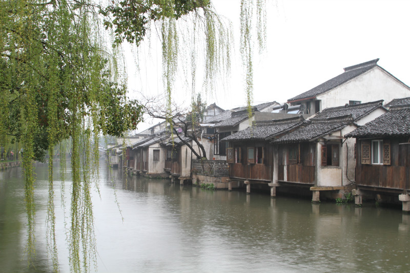 雾雨乌镇……