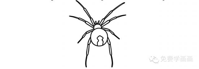 蜘蛛的画法（国画蜘蛛的画法）-第4张图片