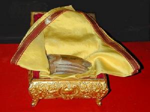 佛舍利子是怎么形成的_佛祖舍利子在世界上的分布 - 云林新闻励志网