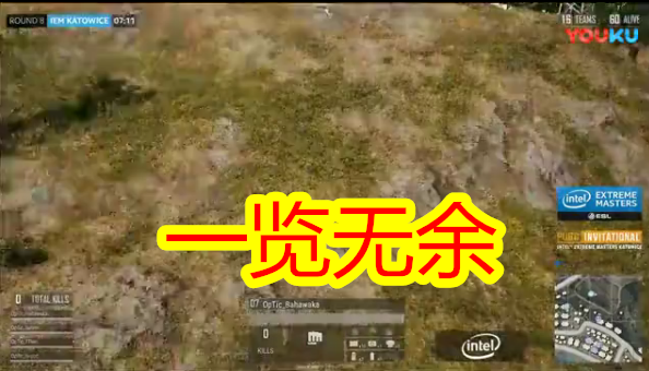 白卜庭荒野：这些bug能够渐变墙壁，让一只职业队伍遭逢亚军！