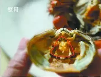 蒸煮各类海鲜开锅时间表｜常见的海鲜怎样烹饪