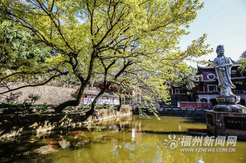 遇见涌泉寺与摩崖题刻