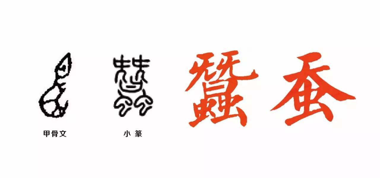 蚕,养蚕的蚕 汉字之美