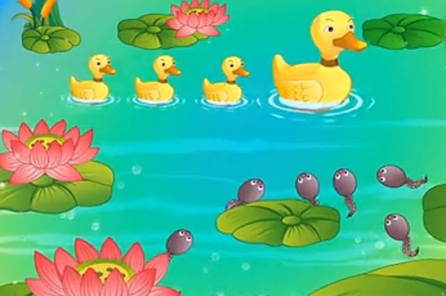 春天来了,青蛙妈妈从冬眠中睡醒了,她跳进池塘在水草上产下了很多圆圆