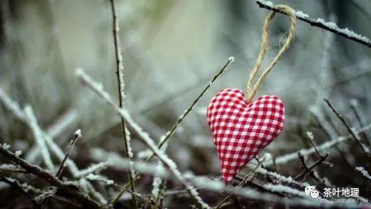 为你读诗｜《我曾经爱过你》普希金