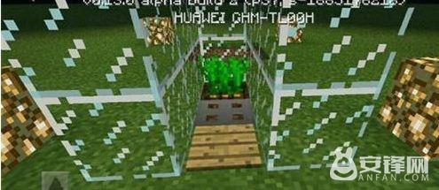 我的世界兔子陷阱怎么制作 兔子陷阱制作方法