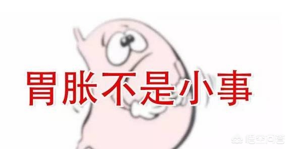 胃胀困扰怎么办？轻松缓解胃胀的实用方法