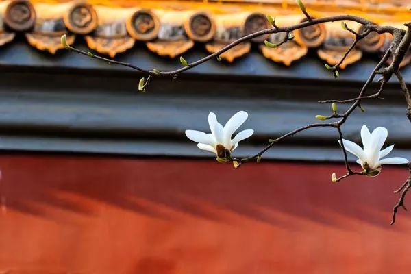 红墙意识的含义