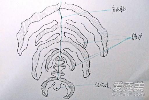 抖音找车口诀是什么 寻龙摸金万缠山下一句？原文出处介绍