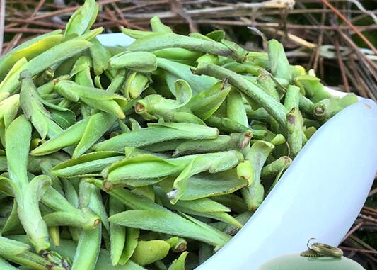 龙井茶的特点（龙井茶的特点和功效）-悠嘻资讯网