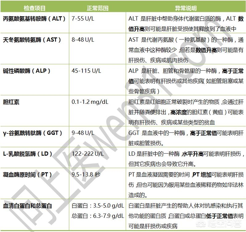 如何判断肝功能是否正常？肝功检查中转氨酶、胆红素分别代表啥？