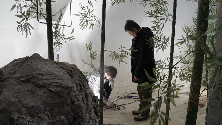 招生|一大波影视培训班报名啦！（影视技能、影视编剧、图片摄影）