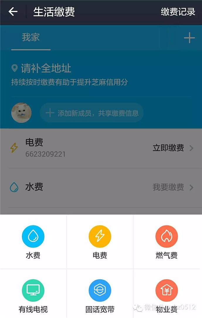 杭州交通违章查询,杭州交通违章查询官网