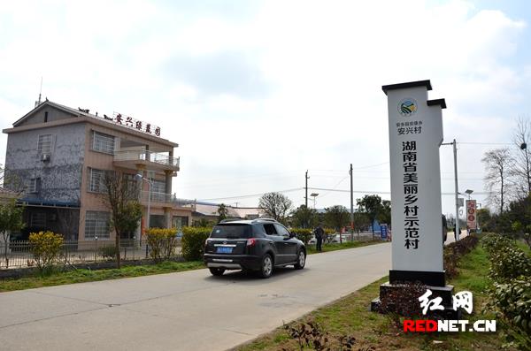 安乡县马成红安乡马兴国