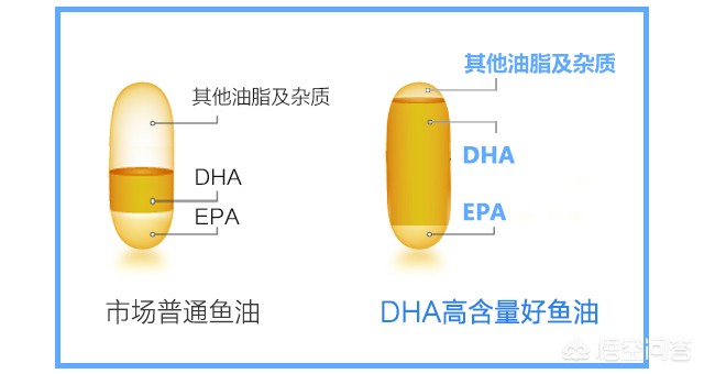 石家庄孕妇咨询几个月开始吃DHA，都吃什么牌子的比较好？