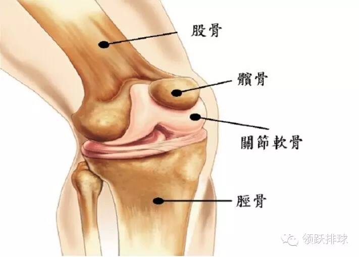 排球怎么打不疼(排球人，你必须知道如何保护膝盖！)