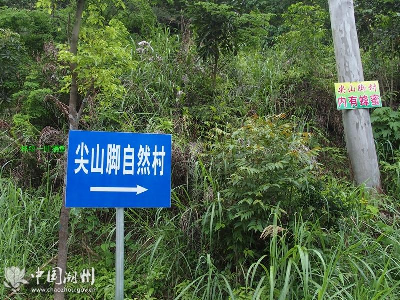 2016那场五月雪