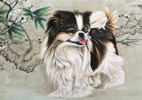 属狗今年运势算命_算算今年属狗运气_属相狗今年运势如何