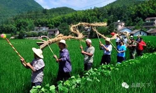 “六月六”的习俗你知道哪些？