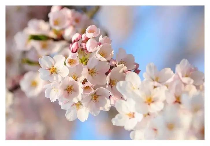 招生季 | 怀化学院欢迎你