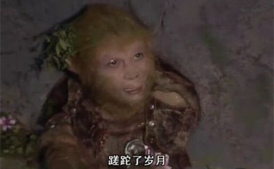 (zhou)ȷ(di)ؾȷ-(gu)Ʊ֪ʶѧϰ